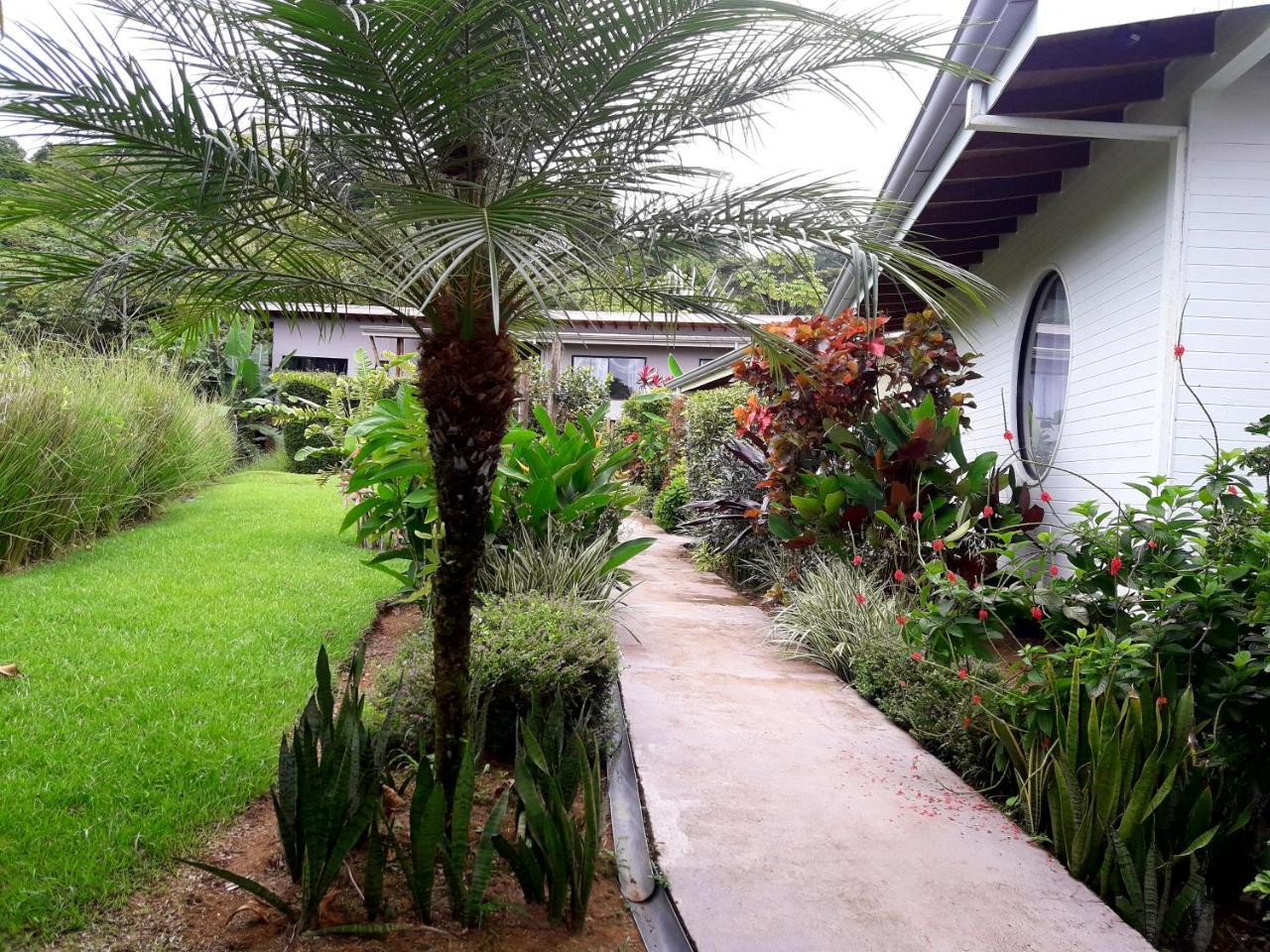 Eden Tica Lodge Uvita Buitenkant foto